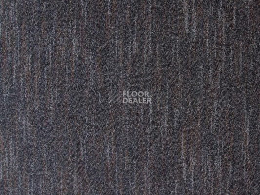 Грязезащитные покрытия Vebe Arco Pc Arco 70 фото 1 | FLOORDEALER